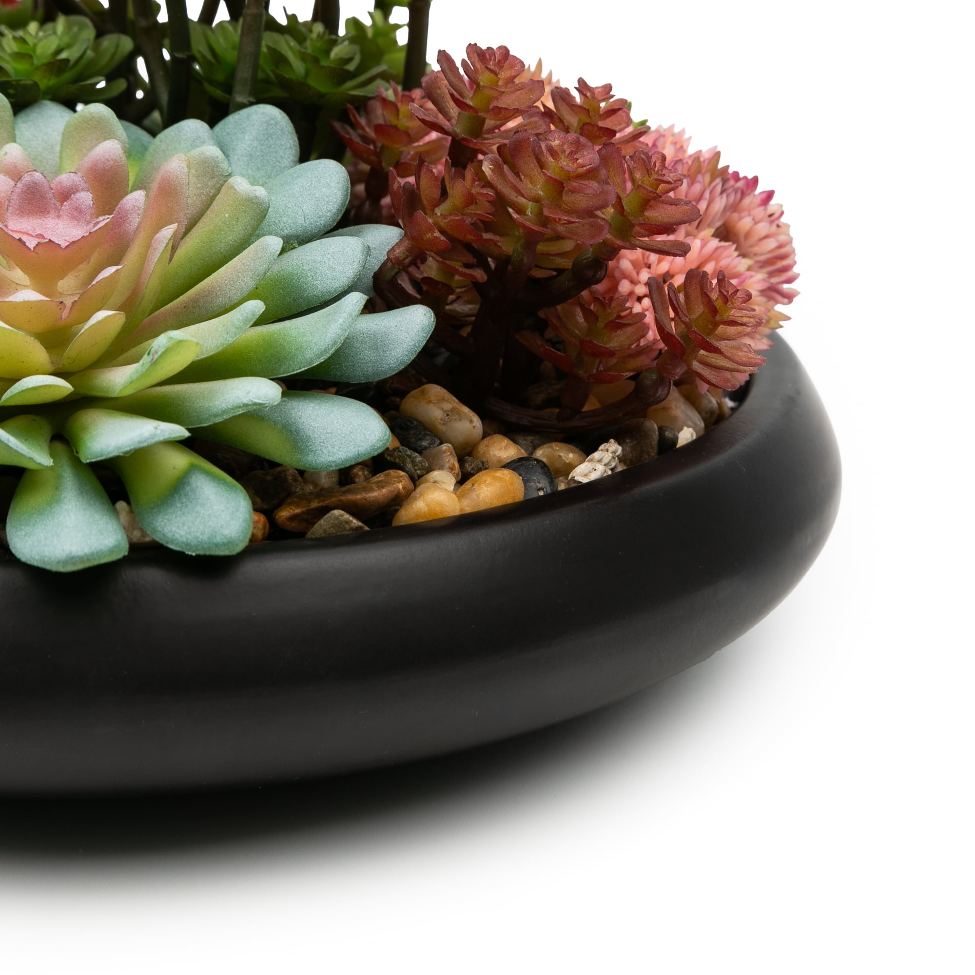 Better Homes & Gardens Artificial Mixed Succulent in Black Round Ceramic Bowl, 9"