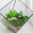 thumbnail image 1 of Phenofice Musgo Artificial Decorativo Verde Para Oficinas Salas Y Estudios Sin Necesidad De, 1 of 6