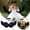 A38 B 31.5"x15.7", variant on Halloween Decorations Feather Angel Costumes Nativity Wings And Elastic Angel Headbands For Adults Christmas Mardi Gras Party 31.5"X15.7" 2026