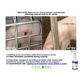 thumbnail image 2 of HealXcel Swine Wound Spray 16oz, 2 of 6