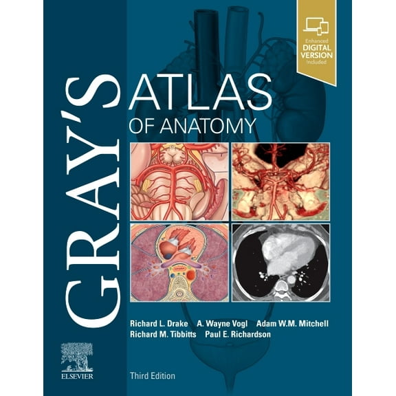 Gray's Anatomy Gray's Atlas of Anatomy, (Paperback)