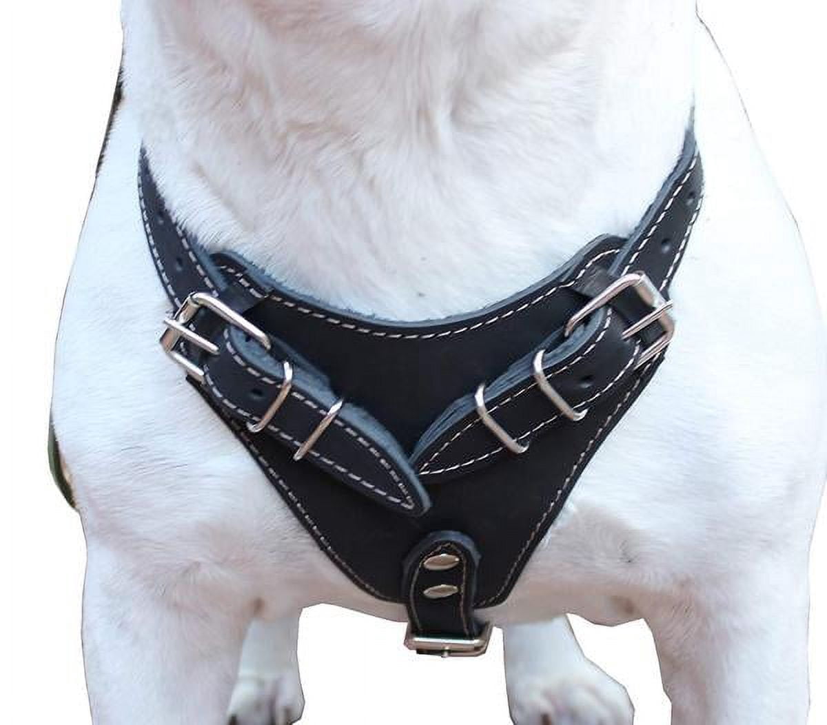 Genuine Leather Dog Harness, 29"-37" Chest, 1" Wide Straps. German Shepherd, Pitt Bull, Doberman