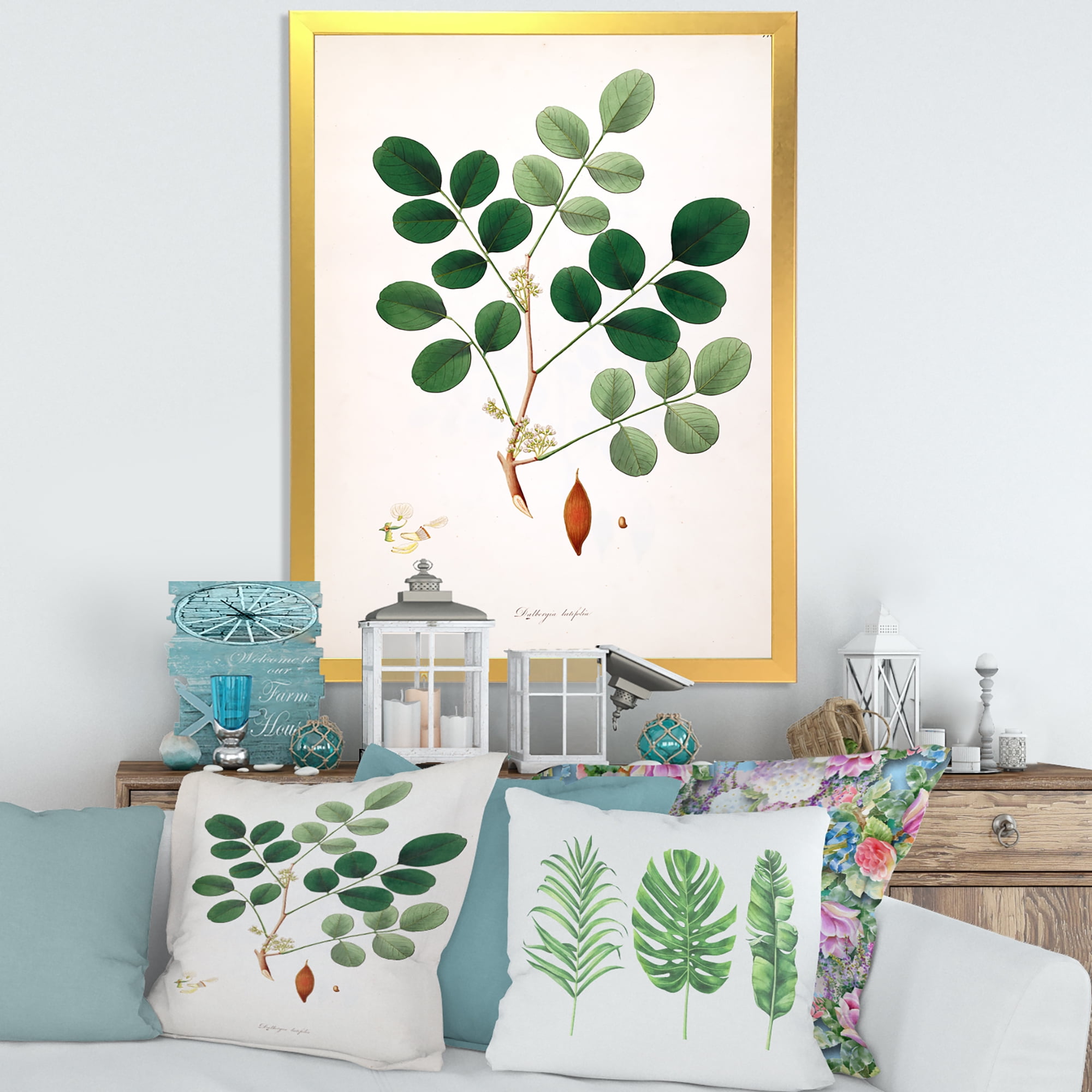 Designart 'Ancient Plant Life XI' Farmhouse Framed Art Print