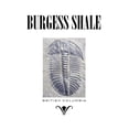 thumbnail image 3 of CafePress - Burgess Shale Long Sleeve T Shirt - Unisex Cotton Long Sleeve T-Shirt, 3 of 4