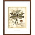 thumbnail image 2 of Art.com Regal Dragonfly I Art Print by Vision Studio, Brown Frame Wall Art, 17" x 21", 2 of 5