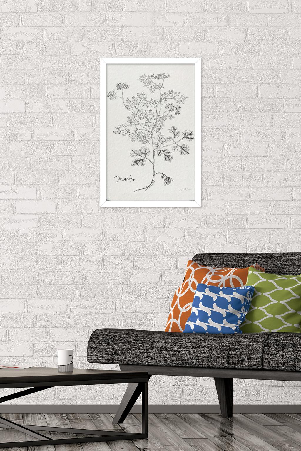 Jean Plout - Botanical Studies on Paper Coriander Wall Poster, 14.725" x 22.375" Framed