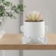 thumbnail image 4 of Maceta para orinar Novedosa | Jarrón de flores caprichoso único para suculentas, contenedor de plantas decorativas para interiores y exteriores | Divertida pieza de conversación | 5.3" de alto, 4 of 4
