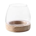 thumbnail image 1 of Tnarru Glass Planter Plant Propagating Jar Plant Terrarium for Office Garden Indoor Medium, 1 of 8