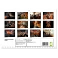 thumbnail image 2 of Elegance and beauty - horses (Monthly Wall Calendar 2026 16.5 x 23.4 (open)), CALVENDO 14 Month Calendar, 2 of 9
