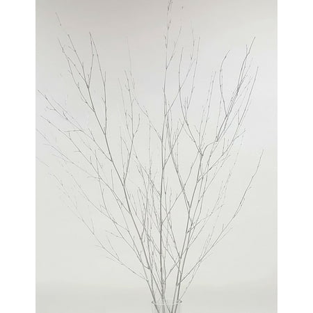 Silver Floor Vases GreenFloralCrafts Bamboo Spray Dried Branches 3.5-4 ft Tall , Pk of 6 branches (Vase Not Included) ()