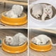 thumbnail image 4 of Rascador para gatos de cartón corrugado, color naranja, resistente y cómodo - Ideal para afilar uñas y descansar (43x10cm), 4 of 7
