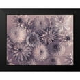 thumbnail image 2 of Frank, Assaf 18x15 Black Modern Framed Museum Art Print Titled - Full frame of mixed flowers, 2 of 5