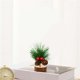 thumbnail image 5 of ¡Ofertas de Navidad! Adornos navideños Bixock de 8,5 cm (3,34 pulgadas). Ramas artificiales, agujas de pino, bayas y estróbilo. Ideales para decorar tu escritorio., 5 of 5