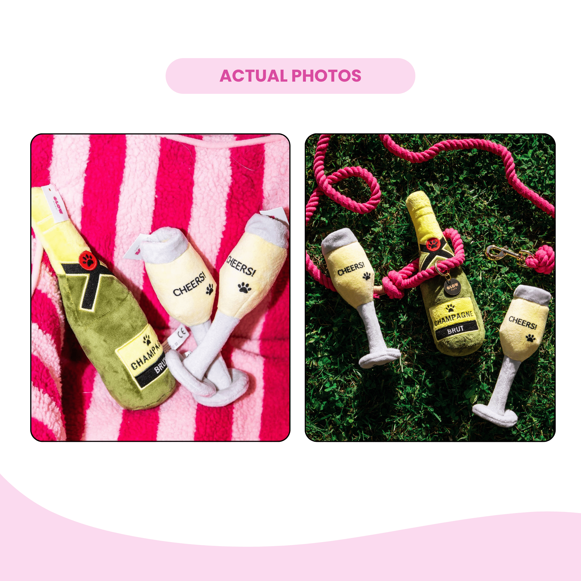 2 Champagne Glass Dog Toy - Party Pack
