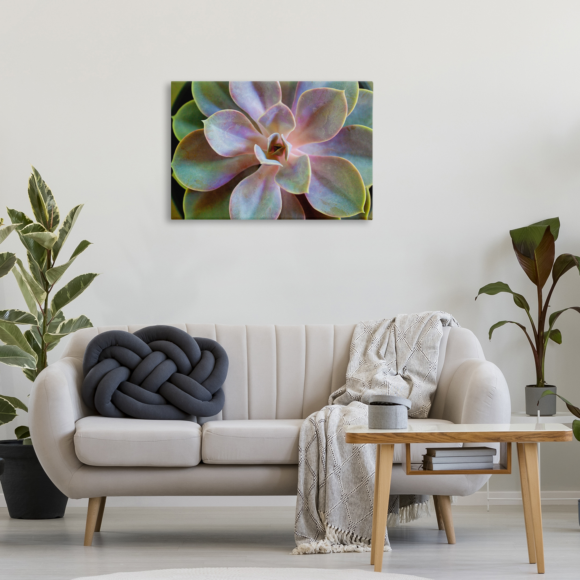 Stupell Industries Blooming Succulent Leaves Plants & Flowers Photography Wrapped Canvas Art Print Wall Art, 30 x 20