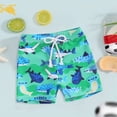 thumbnail image 2 of HCNTES Toddler Boys Swim Trunks Quick Dry UPF 50+ Swimwear Bathing Suit for Big Boys Elastic Waist Casual Beach Swim Boards Shorts(Green,6-12 Months), 2 of 4