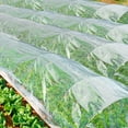 thumbnail image 2 of Newest 6 Mil Greenhouse Film  Plastic Sheeting, Green House Plastic Covering Polyethylene Film for Farms Garden Plants (6.5' x 6.5' - 2 PCS), 2 of 6