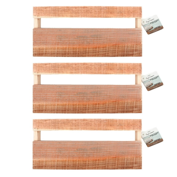 ArtSkills Set of Rectangular Rustic Wooden Plaques with Hooks for DIY Wall Décor & Craft Projects, 3-Pack