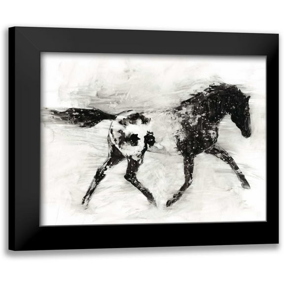 Harper, Ethan 14x12 Black Modern Framed Museum Art Print Titled - Rustic Appaloosa I