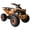 Orange/Orange, variant on X-PRO 125cc ATV with Automatic Transmission w/Reverse, Electric Start, Big 19"/18" Tires!