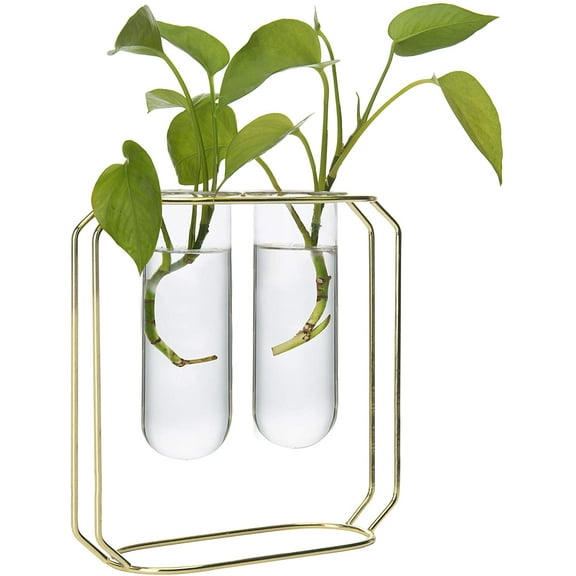 PANuYIN Modern Tabletop Metal Frame Test Tube Vase Planter Terrariums Metal Stand Perfect for Propagating Hydroponic Plants Home Garden - Double
