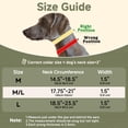 thumbnail image 4 of Collar Martingale Antitirones Mayerzon para Perros Medianos y Grandes, 4 of 7