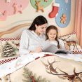 thumbnail image 4 of Manfei Winter Holiday Queen Comforter Set,Farmhouse Christmas Santa Claus Comforter Sets Queen,Xmas Reversible,3-Piece,1 Comforter and 2 Pillowcases, 4 of 7