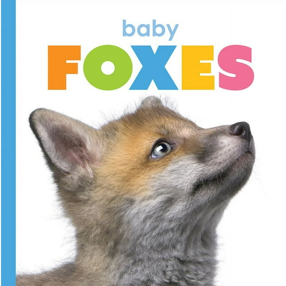 Starting Out: Baby Foxes (Paperback)