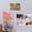 Transparent, variant on 50Pcs Tapestry Hangers Include 25 Self Adhesive Clips 25 Magnetic Clips Tapestry Wall Clip for Hanging Photo Poster Home Office Decorations