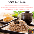 thumbnail image 4 of Organic Planet Pasta Soba Organic 8 Ounce, 4 of 5