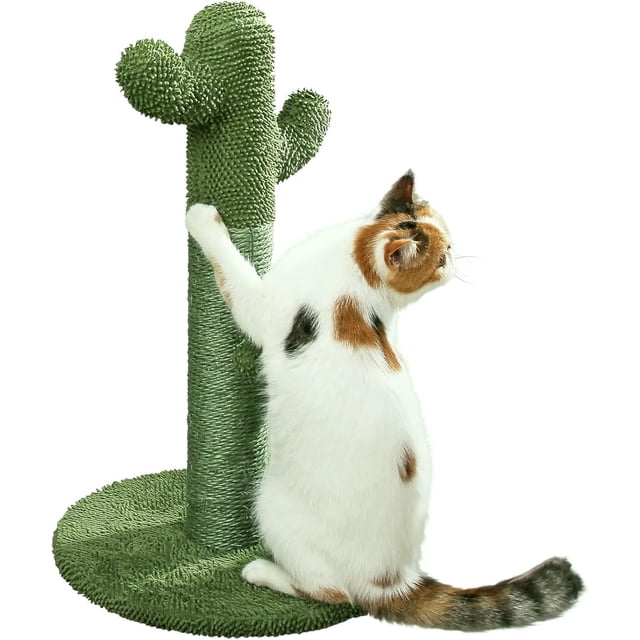 Wolfi Rascador Gatos Grande Cactus Verde Sisal Natural Bola Juguete Todas Edades Interior Exterior