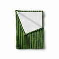 thumbnail image 2 of Bamboo Print Soft Flannel Fleece Throw Blanket, Bamboo Stems Pattern Tropical Nature Inspired Background Wildlife Theme, Cozy Plush for Indoor and Outdoor Use, 50" x 70", Green, by Ambesonne, 2 of 6