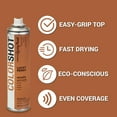 thumbnail image 6 of COLORSHOT Premium Multi-Surface Metallic Lucky Penny Spray Paint - 9 oz - Copper, 6 of 10