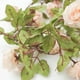 Efavormart 7FT | 20 LED Blush/Rose Gold Artificial Rose Flower Garland ...