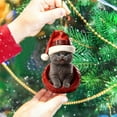 thumbnail image 5 of Personalized Christmas Cat Ornaments, 2D Flat Shatterproof Cat Christmas Hangings Decoration, Cute Christmas Tree Cats Hanging Decorations for Indoor Home/Party/Mantel/Car (E), 5 of 7