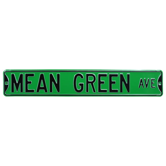 North Texas Mean Green 6'' x 36'' Steel Street Sign