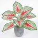 thumbnail image 5 of Planta artificial Hoja Oficina en casa Verdor Decoración Banquete de boda Planta falsa de plástico, Rojo, Tipo de hoja 1 Vogacara HA6782-01B, 5 of 6