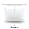 Beautyrest® Beyond Cool™ Bed Pillow 2 Pack, Standard/Queen, Cooling
