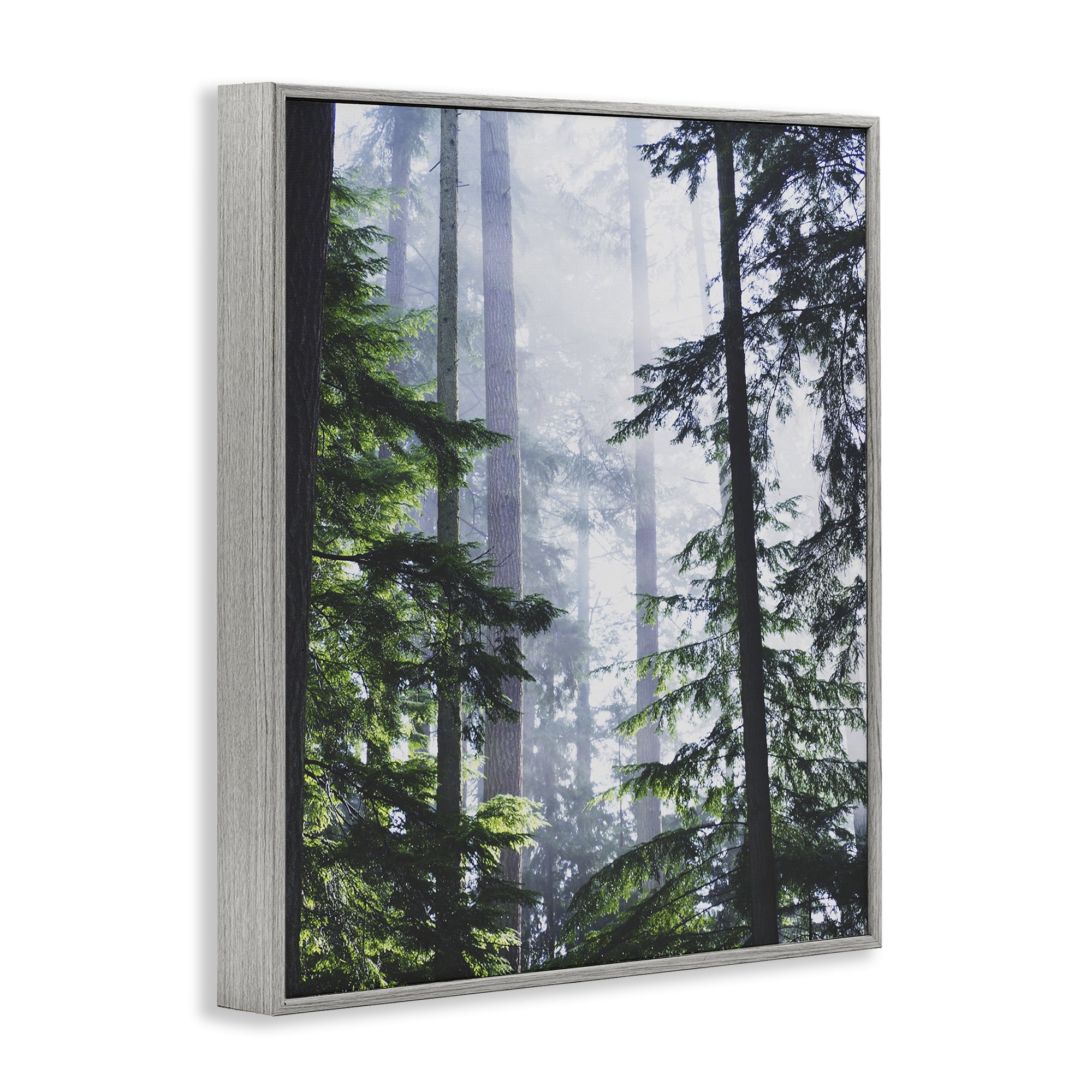 Stupell Industries Foggy Forest View Landscape Photography Gray Framed Art Print Wall Art, 11 x 14