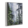 thumbnail image 4 of Stupell Industries Foggy Forest View Landscape Photography Gray Framed Art Print Wall Art, 11 x 14, 4 of 10