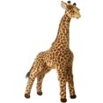 thumbnail image 1 of Peluche Aurora Miyoni Acacia Permanente 78.74cm, 1 of 2