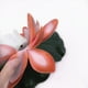 thumbnail image 2 of LED Impermeable Flotante Lotus Lámpara Piscina (rojo), 2 of 8