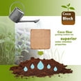 thumbnail image 3 of Home and Country USA Coconut Fiber Compressed Coco Coir Brick. Great to use as a Compost Starter for Your Home Garden. Coco Coir Provides Organic Alternative to peat Moss for Plants. 10Lbs Per Block, 3 of 10