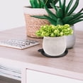 thumbnail image 3 of WEUVEB 10PCS Black Flower Pot Tray for Plant Pot Saucer Maintain Moisture Levels, 3 of 7