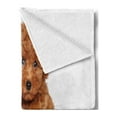thumbnail image 2 of Poodle Soft Flannel Fleece Throw Blanket, Puppies Cozily Posing on a Plain Background Animal Lover, Cozy Plush for Indoor and Outdoor Use, 60" x 80", Pale Caramel Sand Brown, by Ambesonne, 2 of 5
