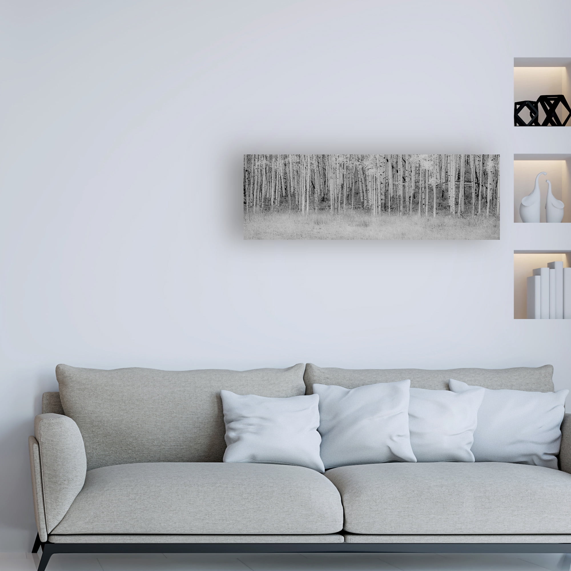 Trademark Fine Art 'Black And White Birch' Canvas Art by Dan Ballard