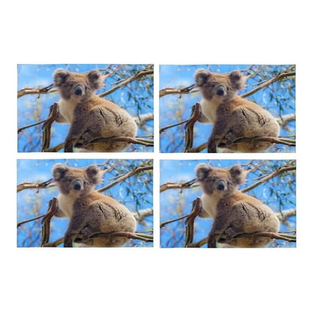 

MKHERT Australian Koala Cute Animal Placemats Table Mats for Dining Room Kitchen Table Decoration 12x18 inch Set of 4