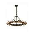 thumbnail image 1 of Elegant Lighting Winston 35" 16 Light Pendant Lamp in Golden Iron, 1 of 1