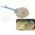 thumbnail image 2 of ReefScape Model Series 1: Custom LEGO Blue Spot Stingray Building Set, 2 of 2
