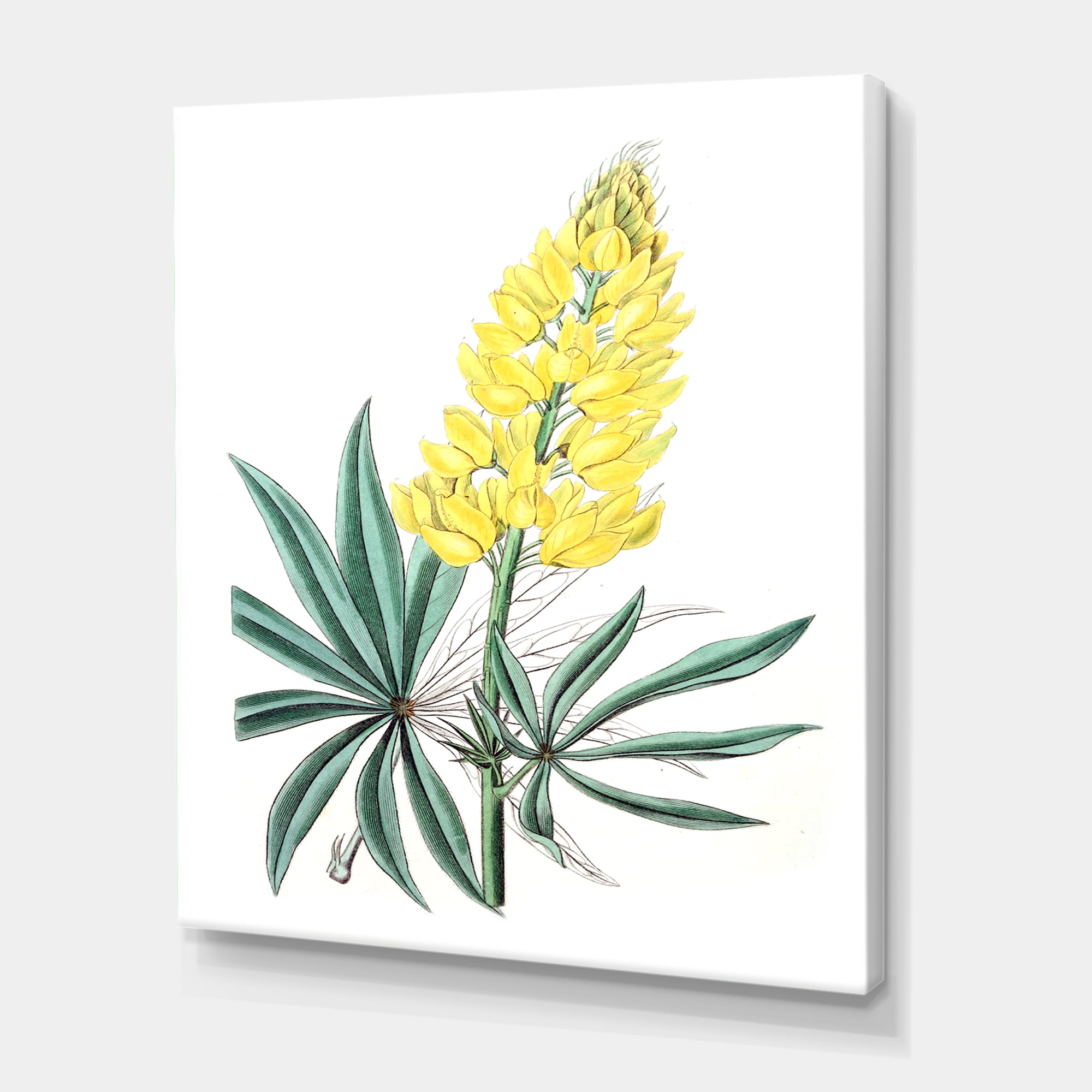 Designart ' Ancient Yellow Flower I ' Traditional Canvas Wall Art Print